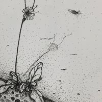 HYW_+Studio課程/講座
