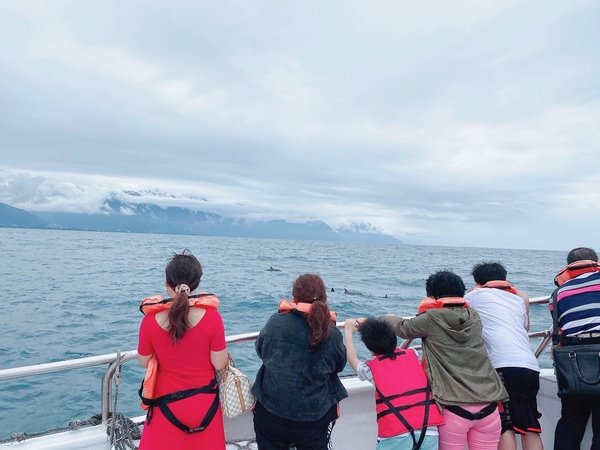 「花蓮旅遊」花蓮租車三天二夜輕旅行自駕遊，盛夏消暑追鯨趣-花蓮永宬租車，老時光燒肉酒肴，欣欣麵館不是麵店，小花公寓民宿與窩WOW青年旅館直擊分享
