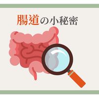 4 腸知識🥸大發現