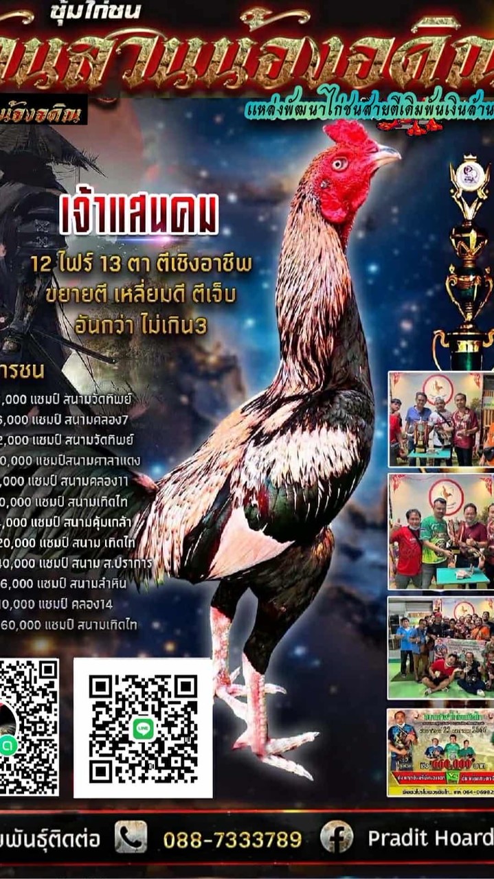 ซุ้มบ้านสวนน้องอคิณเจ้าแสนคมเเชมป์660,000สนามเทิดไท