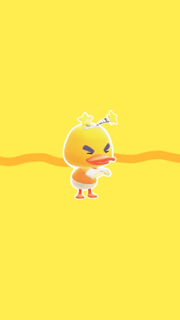 maroのお部屋🐣🍃ハトミメンバーさん用🫶