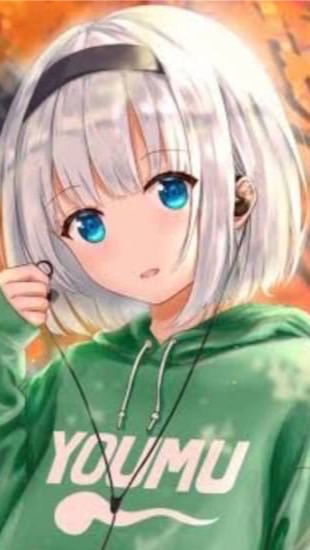妖夢オプ管理部屋