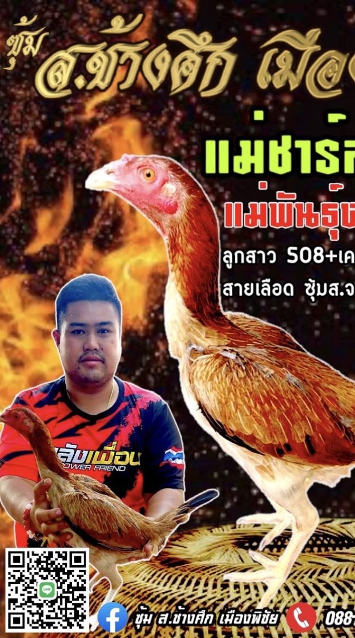 ซุ้ม ส.ช้างศึกเมืองพิชัย