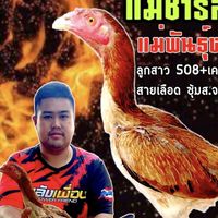 ซุ้ม ส.ช้างศึกเมืองพิชัย