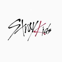 straykids スキズ hollow シリアル波 当選 報告