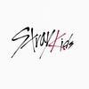 straykids スキズ hollow シリアル波 当選 報告