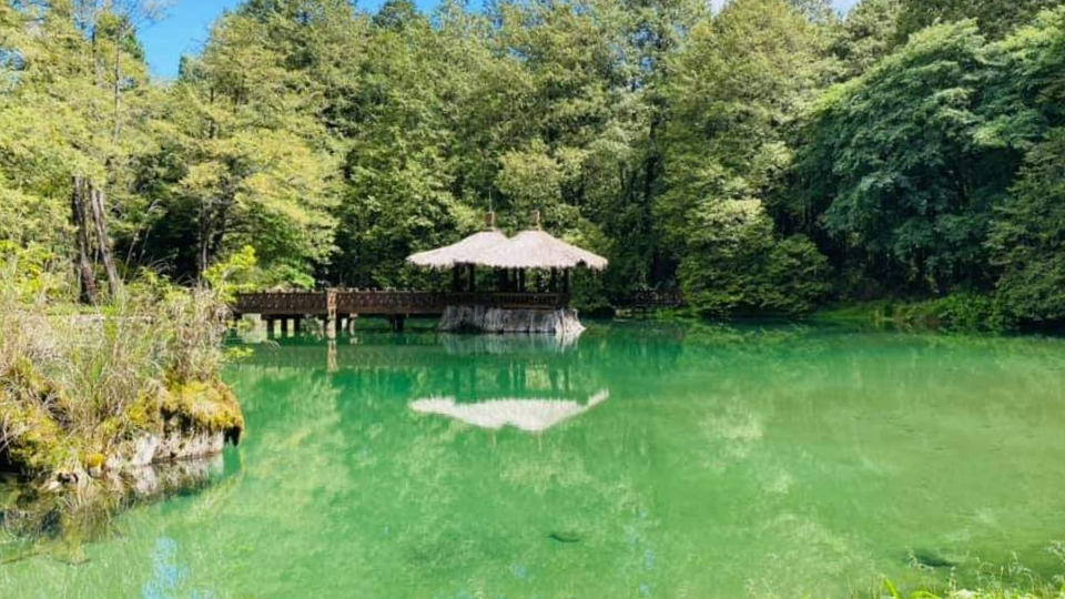 阿里山國家森林遊樂區