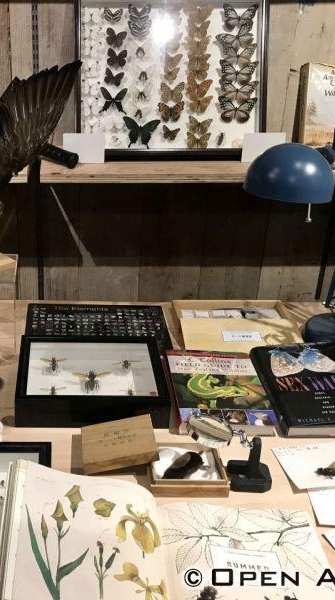 帝京科学大学博物館実習Aコース9/9-10用