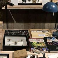 帝京科学大学博物館実習Aコース9/9-10用