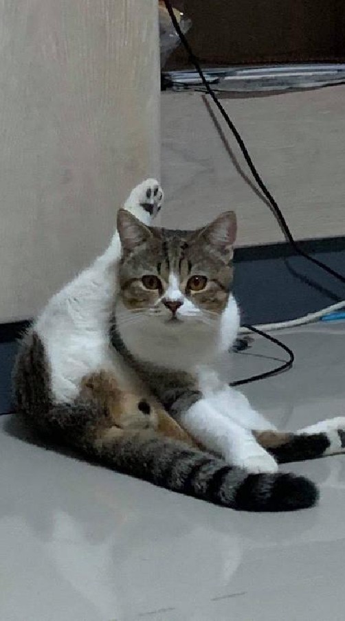 ลูกทีม คุณคนโปรด.