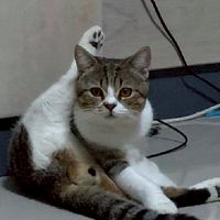 ลูกทีม คุณคนโปรด.