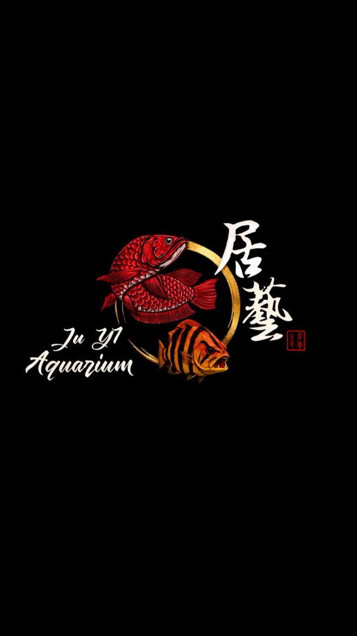 居藝水族龍虎專賣-競標/交流