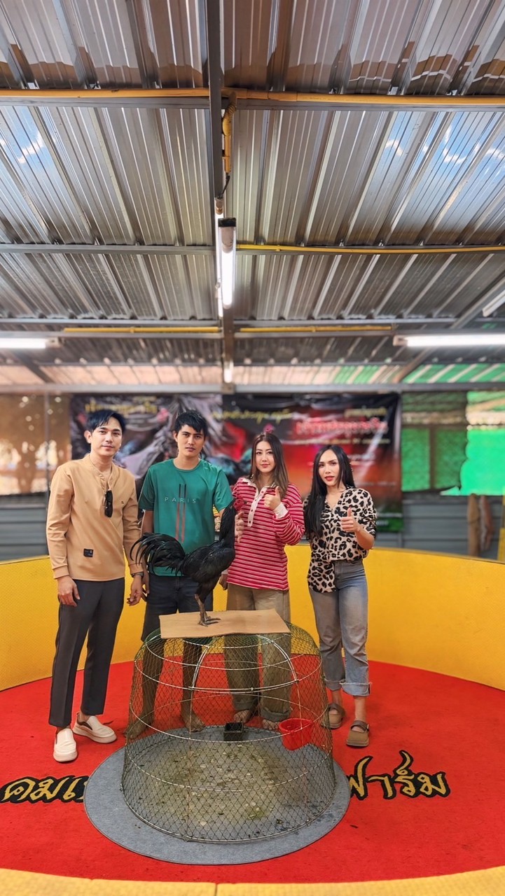 ซุ้มBig-Mขอนแก่นสังกัดคมเพชรประทาย-กุมารจีน-ธนูทอง