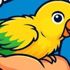 🦜321鸚天下🦜-和尚鸚鵡