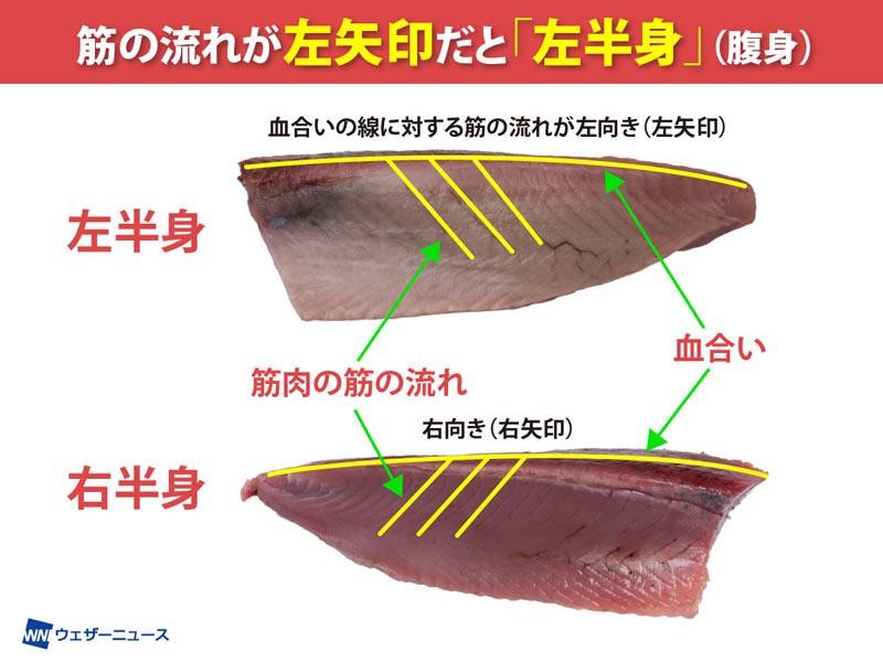 身は左側が美味 プロが教える おいしい初ガツオの選び方