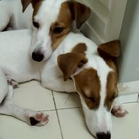 ยุยุ้ย