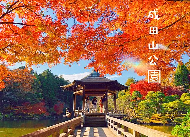 蘇跑旅遊 成田山公園紅葉祭追趕紅葉尾巴 Line Today Line Today