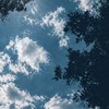 僕らはどこにも飛べない * 旧戦争屋緩也 ハント