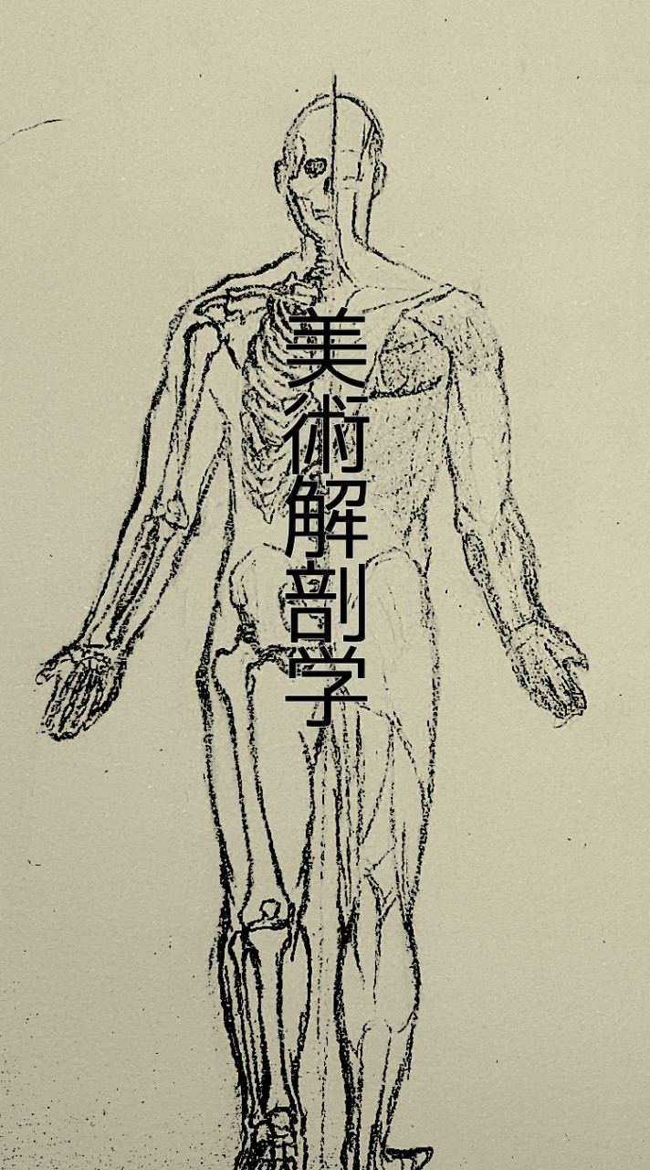 美術解剖学を語ろうの会