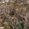 人どんどんきてぇー人で不足ゲーム、歌、絵、雑談〜