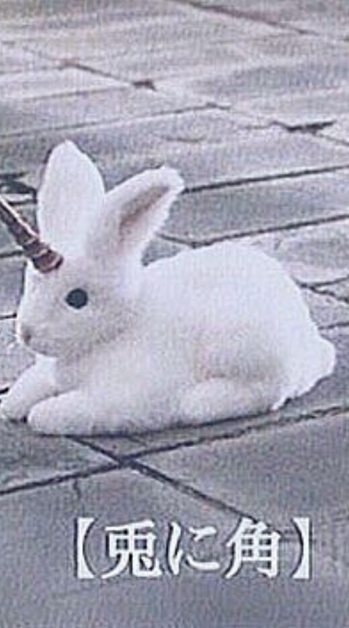 家族ごっこ （ 恋愛 執事 メイド ◎ ）