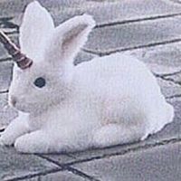 家族ごっこ （ 恋愛 執事 メイド ◎ ）