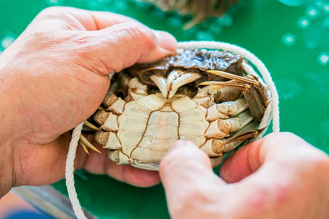 ▲大閘蟹只要用簡單方式烹調就很好吃（圖/奧丁丁市集）