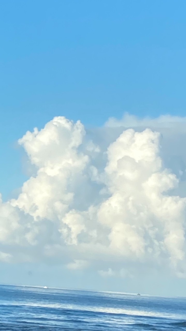 碧湖雲景已購戶交流區