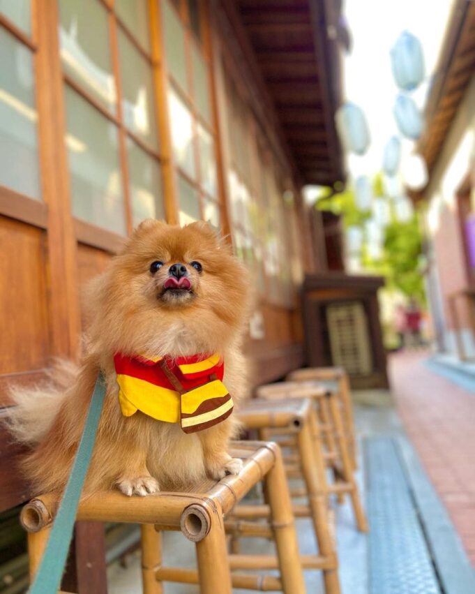 梧棲漁港 梧棲漁港一日遊｜全台最大觀光魚市，梧棲漁港美食、附近景點住宿、交通看這篇 14 2023