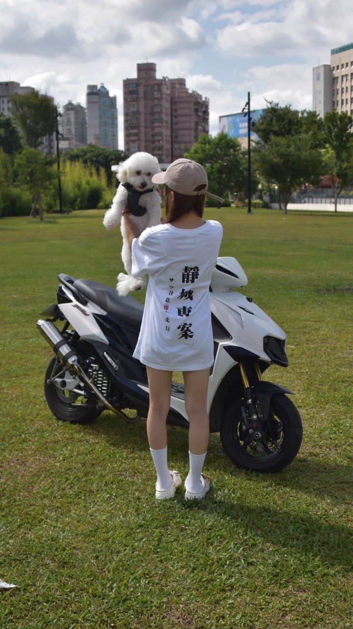 靜城專案