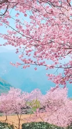 阿揮老師之交易日誌