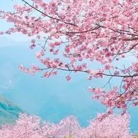 阿揮老師之交易日誌