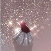 ♡這裡有隻小芮比🐰