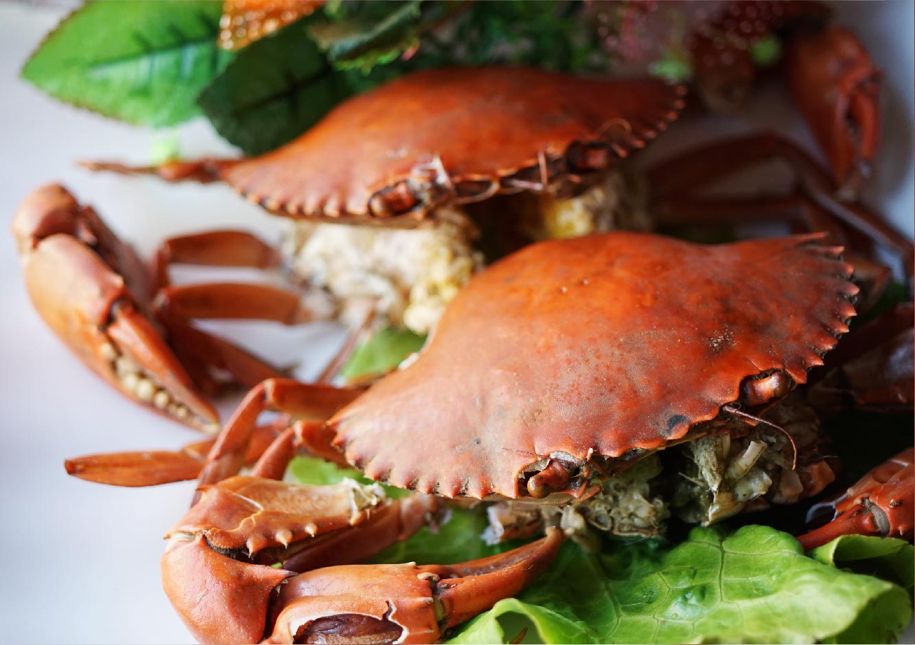 台南總鋪師辦桌-妳好南搞-13