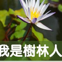 我是樹林人