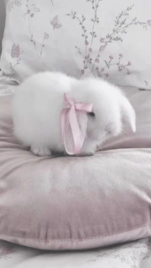 冰塊的出卡小社♡
