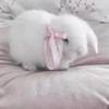 冰塊的出卡小社♡