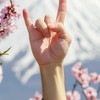 🎵🎌Jpop/Jrock取暖小角落🎌🎵