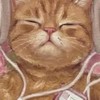 บอนอฟฟี่บอมอ🩷
