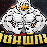 ไก่ชนพักยก123