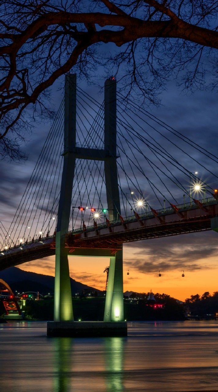 체리🇰🇷