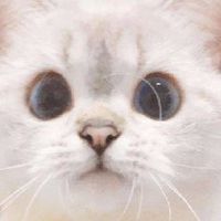เหมียว