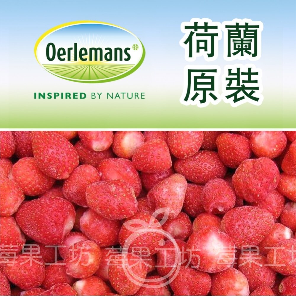【莓果工坊】荷蘭原裝進口草莓
