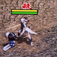 武盟