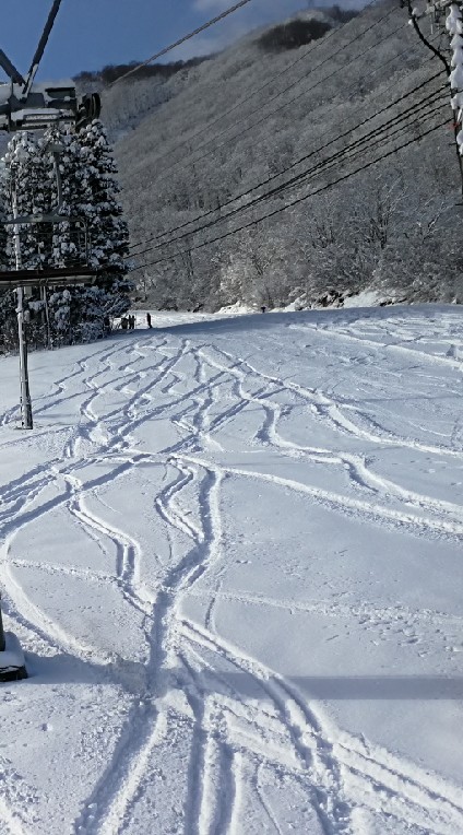 台灣雪友交流社群