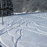 台灣雪友交流社群