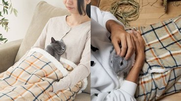 這畫面萌出血！日本推出「寵物專屬口袋」溫暖毛毯，與貓咪一起依偎渡過寒冬必備！