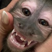 イケメン可愛い子きて