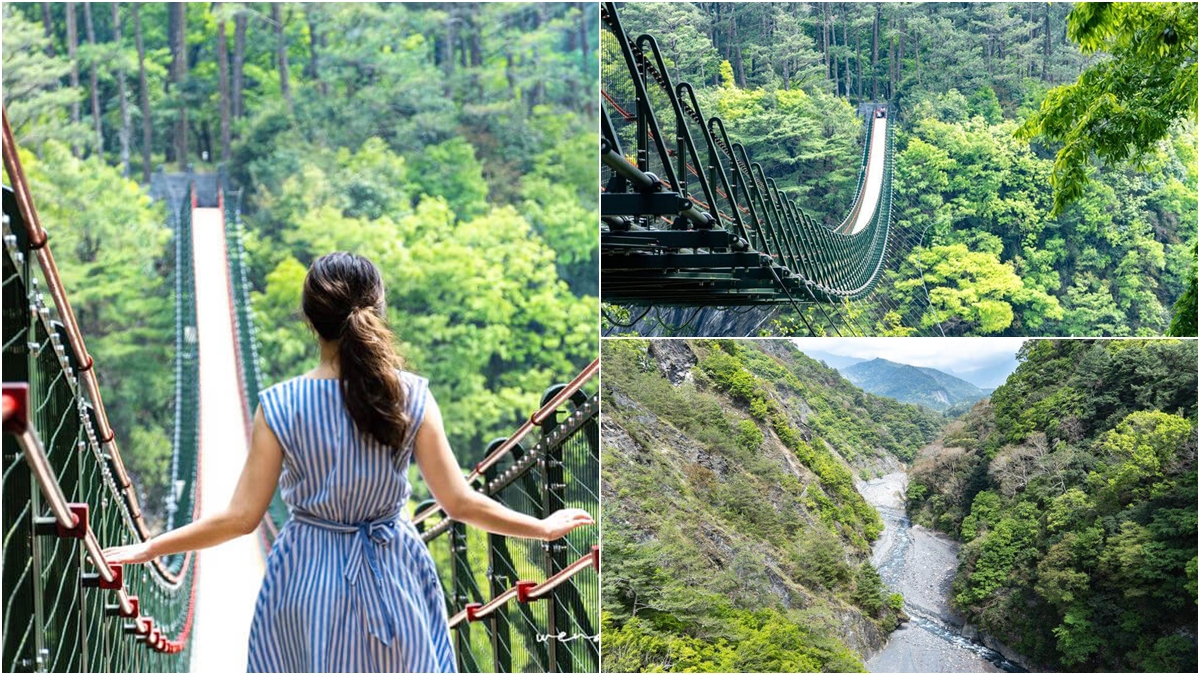 負離子、芬多精吸到飽！最強國家森林遊樂區TOP10：千年神木、免門票逛整天