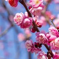 神奈川✨おとなの🍀のんびりまったり部屋